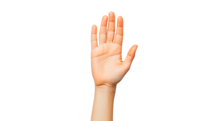 Open hand gesture showing palm against transparent background