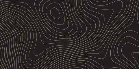Exploring the Beauty of Terrain: Abstract Topographic Maps with Intricate Geographical Contours, Paper Texture Design, and Vector Art with black background desing