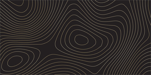 A Modern Take on Traditional Geography: The Use of Abstract Topographic Map Contours Combined with Paper Texture Design for Artistic Geographical Expression"