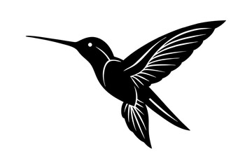 hummingbird in flight