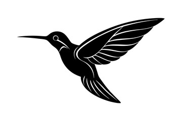 hummingbird in flight