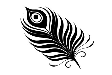 Fototapeta premium black and white feather