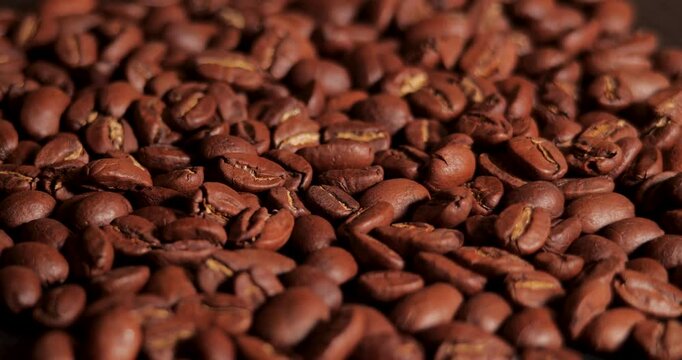 Arabica Coffee Beans Maragogipe Rotating Background. Elephant Beans