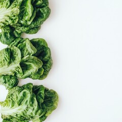 Obraz premium fresh and vibrant lettuce leaves arranged against a backdrop. This image evokes a sense of healthiness and freshness. It's a visual treat for anyone who loves good food