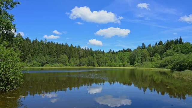 M&uuml;lbenersee, See, Wald, Wolken Himmel, Sommer, M&uuml;lben, Waldbrunn, Neckar Odenwald Kreis, Baden-W&uuml;rttemberg