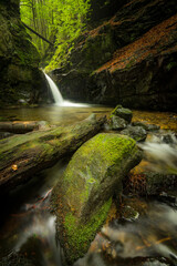Nýznerovské vodopády. Beautiful misty waterfall after rain in Jeseníky mountains. Epic river, green forest, stones, rocks, flowers, leaves. Premium landscape from pure nature, Czech Republic