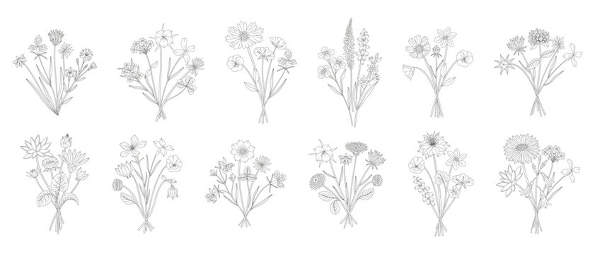 Wildflower line art bouquets set. Hand-drawn different meadow flowers, herbs, and wild plants. Botanical elements for design projects. Minimal style, contour. Vector illustration