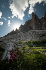 Tre Cime di Lavaredo, Drei Zinnen. Beautiful sunset with clouds in Dolomites mountains. Epic mountain, colorful flowers, rocks, forest. Premium landscape from pure nature, Dolomiti, Alps, Italy