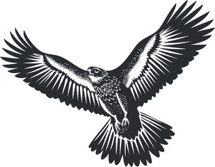 Fototapeta premium Black and white illustration of an eagle soaring with outstretched wings in mid-flight.