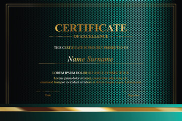 Formal Certificate of Excellence (15)