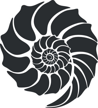Black and white illustration of a nautilus shell with intricate spiral pattern.