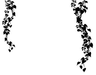 Floral branch corner element with flower and leaves.  Botanic shadows overlay.  Bare tree branches. Frames with  branches flowers. png cut out