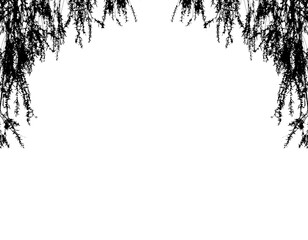 Floral branch corner element with flower and leaves.  Botanic shadows overlay.  Bare tree branches. Frames with  branches flowers. png cut out