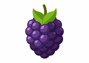 Fresh bunch of red grapes isolated on white background with leaves and vine, showcasing ripe purple berries