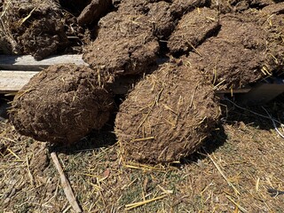 Close-up of dung in detail, selective focus. Cow dung cakes, known as dung, are used as an...