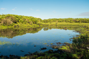Wetland area in the countryside of Sao Francisco de Paula, South of Brazil