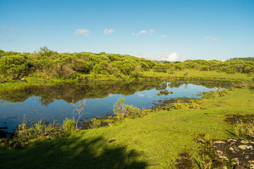 Wetland area in the countryside of Sao Francisco de Paula, South of Brazil