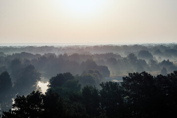 foggy landscape, above deciduous forest, early morning.