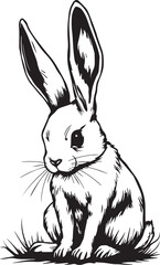 Rabbit. Hand drawn vector illustration	