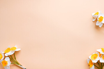 Daffodils on pastel surface