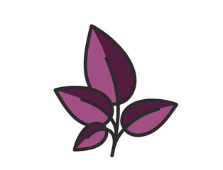 Plant with burgundy leaves. Nature and planting design element. Isolated vector image