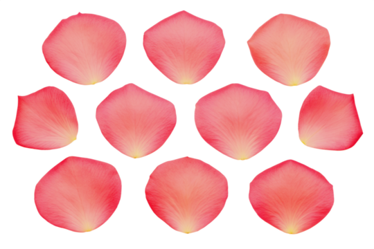 Red Easter eggs with a romantic heart pattern on a transparent background