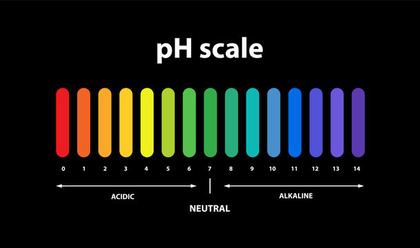 Ph scale chart indicator diagram value .Litmus test.
