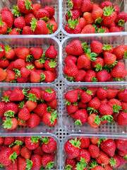 Fresh Red Strawberries in Plastic Containers on Perforated Surface