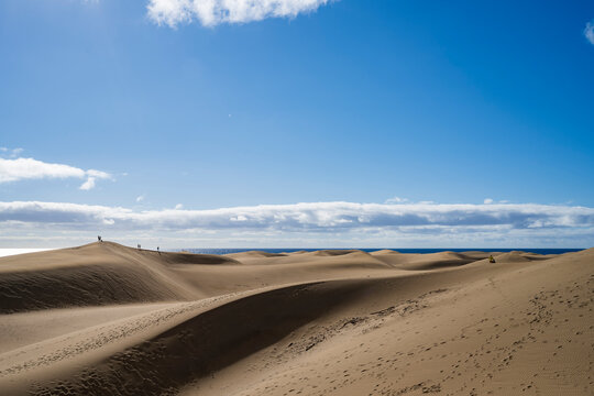 Rolling sand dunes of Maspalomas with ocean horizon under a clear blue sky, Gran Canaria, Canary Islands, Spain