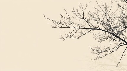 Fototapeta premium Monochrome Silhouette of Winter Tree Branches against a Creamy Beige Sky, Background Showcasing Stark Beauty and the Promise of Spring