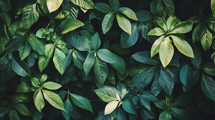 Lush Green Foliage Texture with Varied Leaf Forms suitable for editorial use