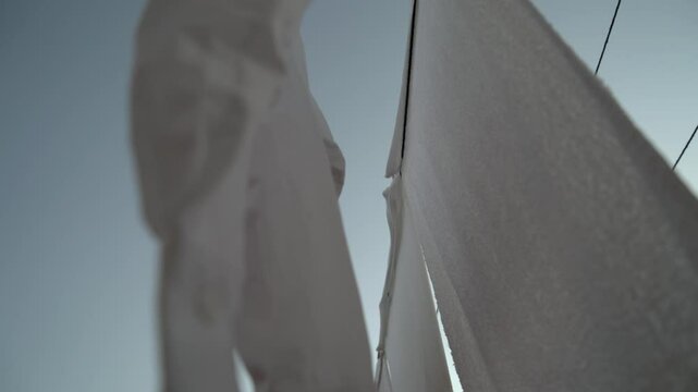 wite minimalism clothing
