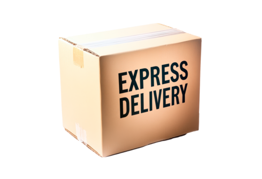 Express delivery service concept Illustration of package and shipping logistics
