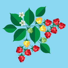 Raspberries mid century modern design 