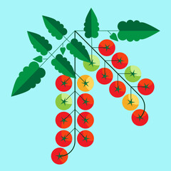 Cherry Tomatoes on vine mid century modern