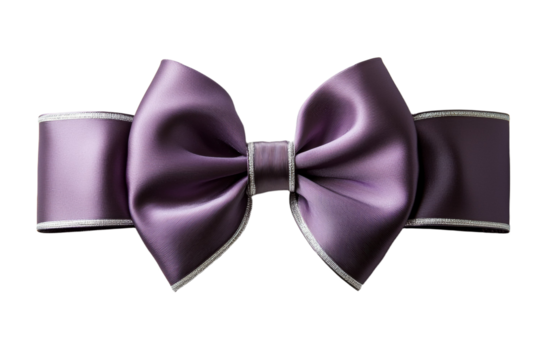 Purple bow tie with silver trim
