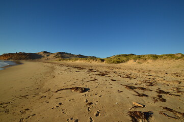 footprints on the beach