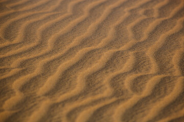 Textura Areia Praia Bege Grãos Suavidade Ondas Padrão Natural Detalhe Microscópico Superfície Tato Quente Fino Uniforme Deserto Erosão Marrom