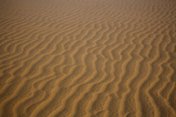 Textura Areia Praia Bege Grãos Suavidade Ondas Padrão Natural Detalhe Microscópico Superfície Tato Quente Fino Uniforme Deserto Erosão Marrom