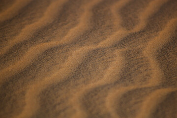 Textura Areia Praia Bege Grãos Suavidade Ondas Padrão Natural Detalhe Microscópico Superfície Tato Quente Fino Uniforme Deserto Erosão Marrom