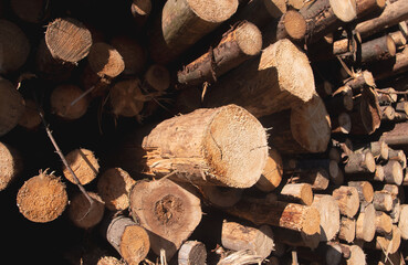 logs close background and texture abstraction