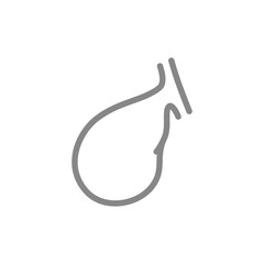 Gallbladder line icon. Healthy internal organ symbol. Vector illustration