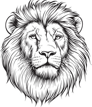 recommend clip art: Lion head illustration with detailed mane
