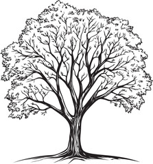 Obraz premium Detailed black and white sketch of a large tree with full foliage illustration. Vector illustration