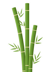 Green bamboo with leaves flat illustration vector