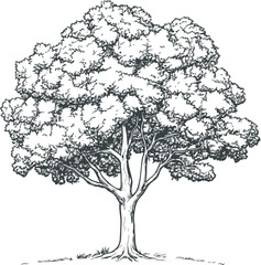 Detailed black and white illustration of a tree with intricate branches and leaves. Vector illustration