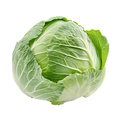 Fototapeta premium Cabbage isolated on transparent background