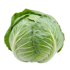 Fototapeta premium Cabbage isolated on transparent background