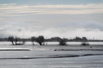 The Fir Island Farm Reserve is a Game Reserve with over 200 acres of restored intertidal estuary...