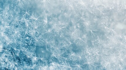 Fototapeta premium Delicate Blue Hues Dance with Dandelion Seeds, Background a Dreamlike Abstraction Capturing Ephemeral Beauty and Gentle Movement in the Air